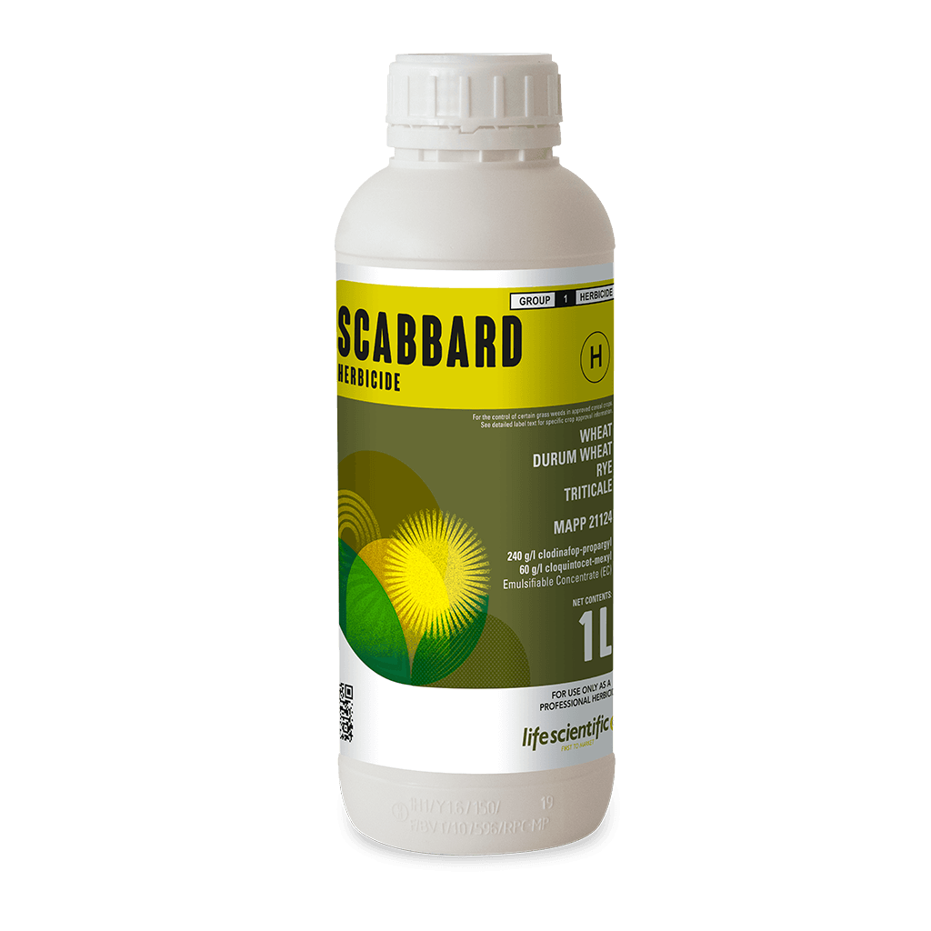 SCABBARD product image