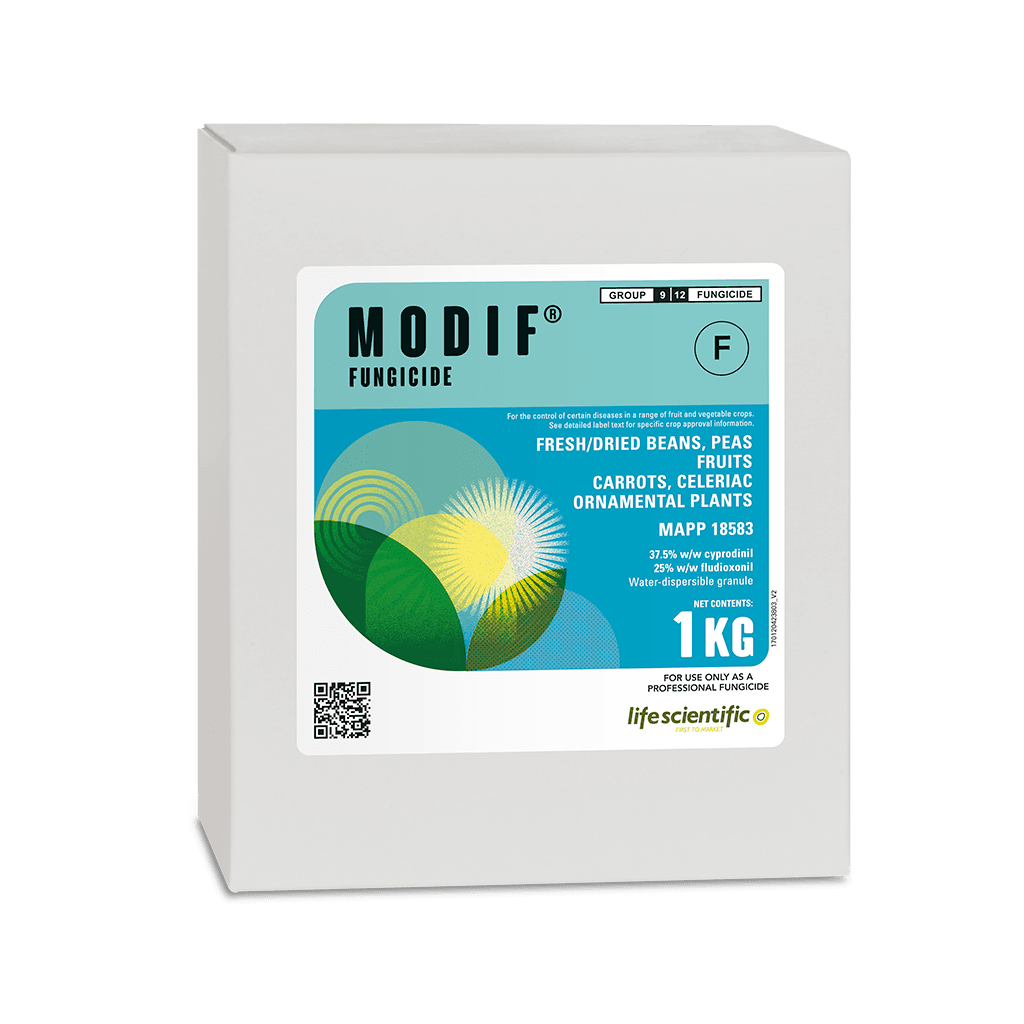 MODIF product image