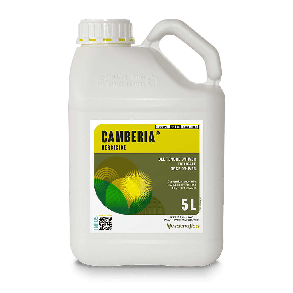CAMBERIA product image