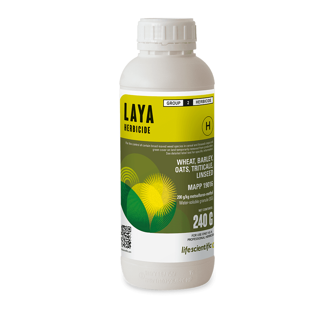 LAYA product image