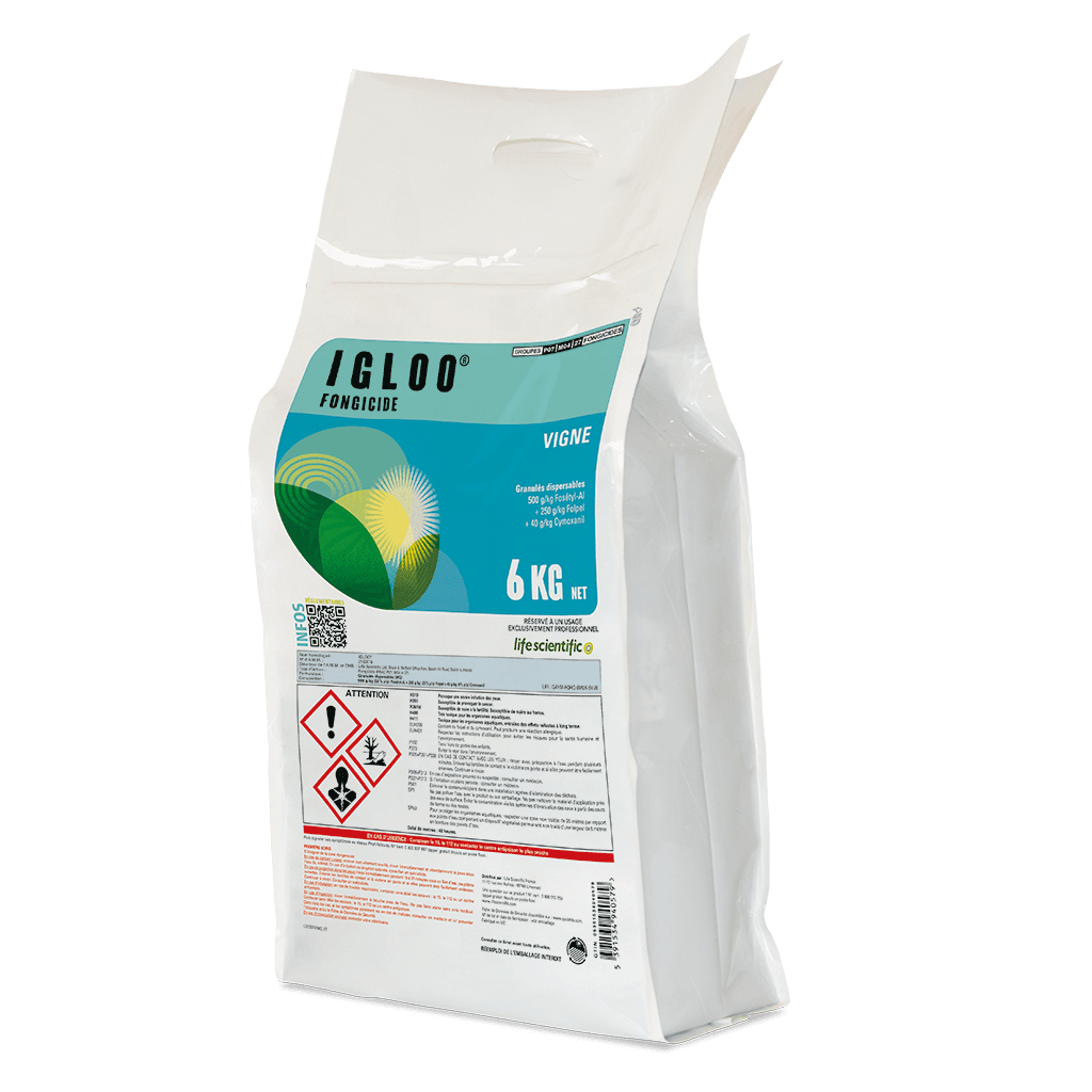 IGLOO product image