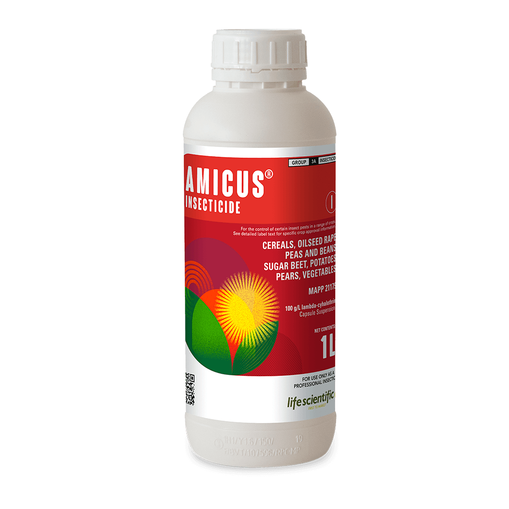 AMICUS